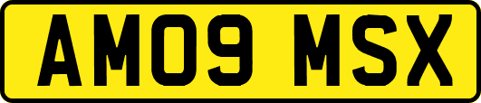 AM09MSX