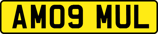 AM09MUL