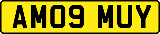 AM09MUY
