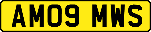 AM09MWS