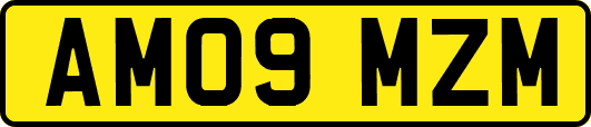 AM09MZM