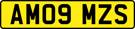 AM09MZS