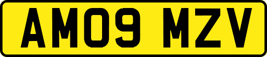 AM09MZV