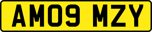 AM09MZY