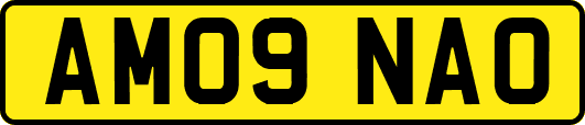 AM09NAO