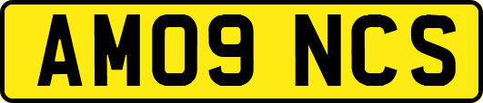 AM09NCS