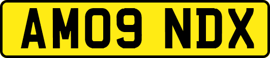 AM09NDX