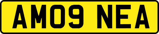 AM09NEA