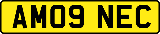 AM09NEC