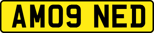 AM09NED