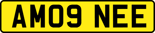 AM09NEE