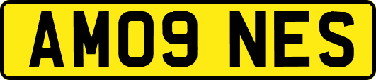AM09NES