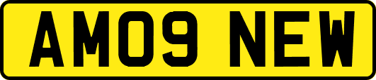 AM09NEW