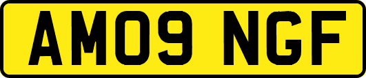 AM09NGF