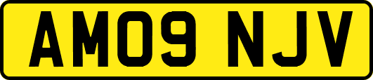 AM09NJV