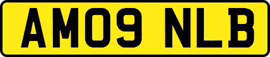 AM09NLB