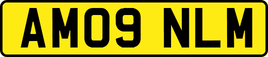 AM09NLM