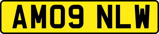 AM09NLW