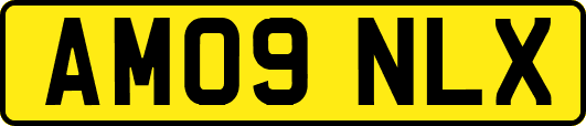 AM09NLX