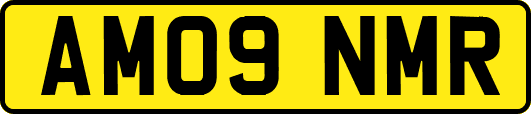 AM09NMR