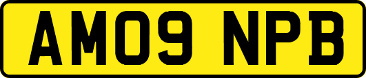 AM09NPB