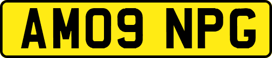 AM09NPG