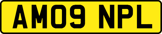 AM09NPL