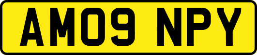 AM09NPY