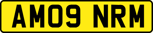 AM09NRM