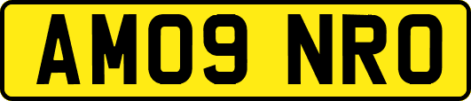 AM09NRO