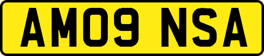 AM09NSA