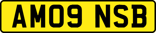 AM09NSB