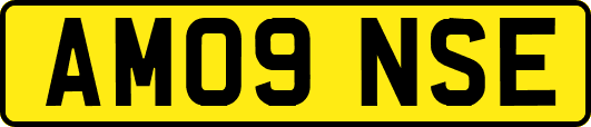 AM09NSE
