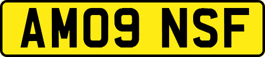 AM09NSF
