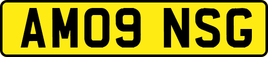 AM09NSG