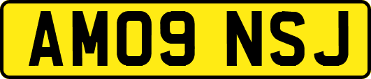 AM09NSJ