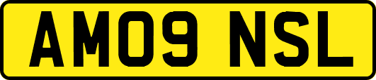 AM09NSL