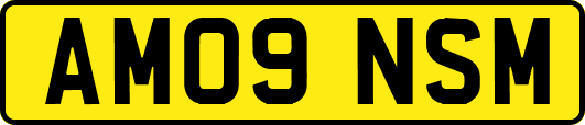 AM09NSM