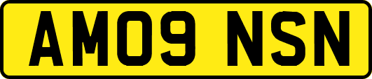 AM09NSN