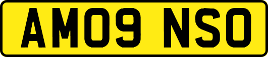 AM09NSO