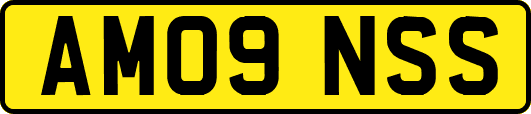AM09NSS