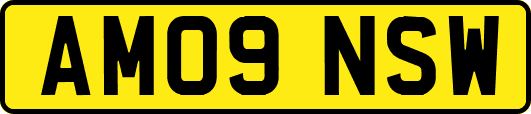 AM09NSW