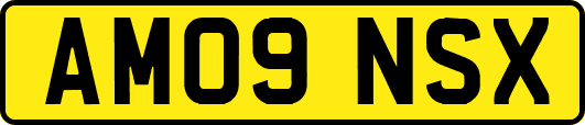 AM09NSX