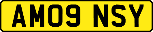 AM09NSY