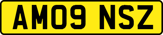 AM09NSZ
