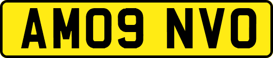 AM09NVO