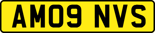 AM09NVS