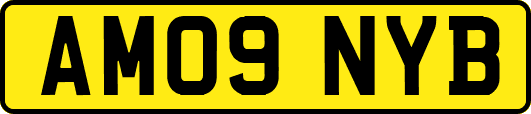 AM09NYB