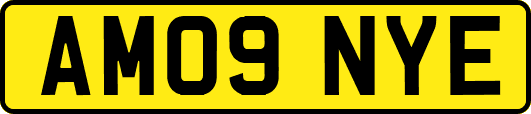AM09NYE