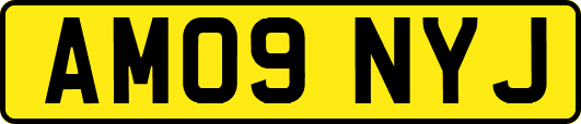 AM09NYJ
